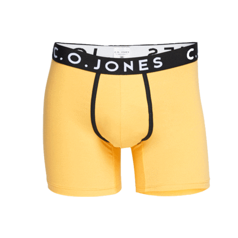 Underwear Dancing Sticker by C.O.JONES