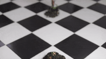 Grow Black And White GIF by linastopmotion