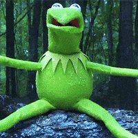 Kermit The Frog Water GIF by Muppet Wiki - Find & Share on GIPHY
