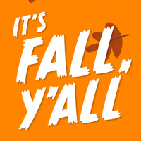 Its-fall GIFs - Get the best GIF on GIPHY