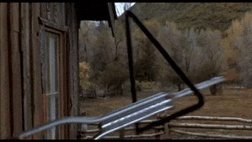 City Slickers GIF