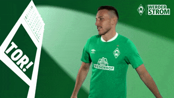 Kevin Möhwald Yes GIF by SV Werder Bremen