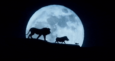 Lion King GIF