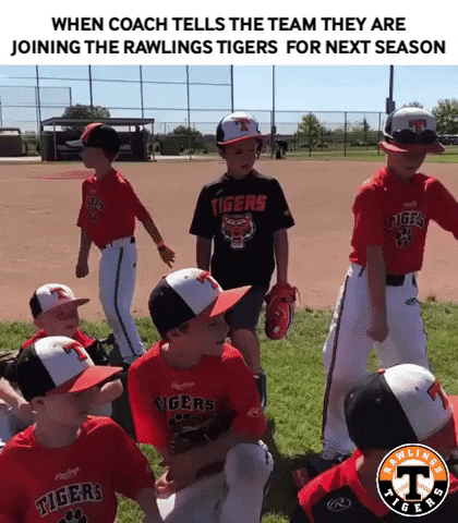 Happy Lets Go GIF by Rawlings Tigers