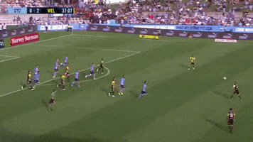 Wellington Phoenix FC GIF