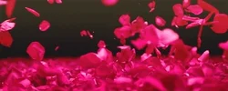 100.webp?cid=3640f6095be041e1644d684b4d8