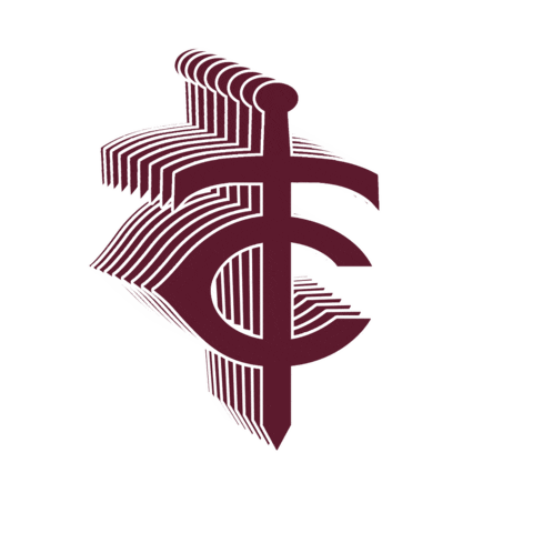 Trinity Christian Academy Sticker by TCA Warriors