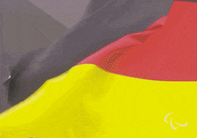 Germany Sport GIF by International Paralympic Committee