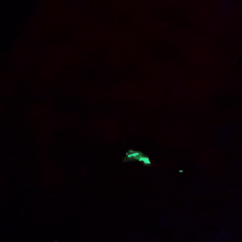 Glowing Mars Attacks GIF by sophiaqin