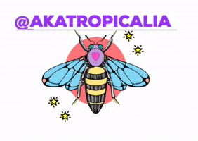 akatropicalia GIF