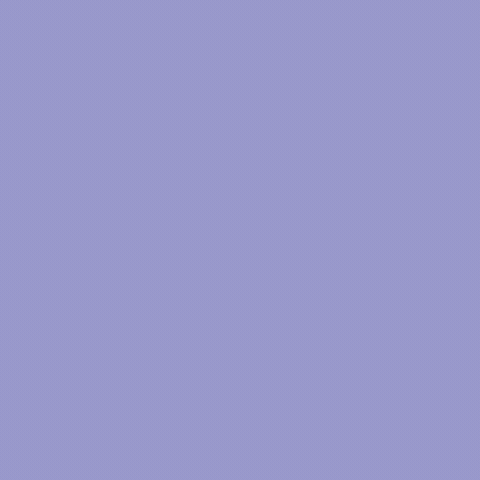 Afm GIF by Alliance Française de Melbourne