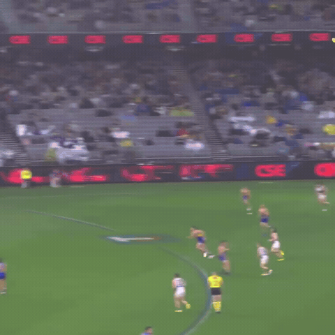 The Wizard Afl GIF