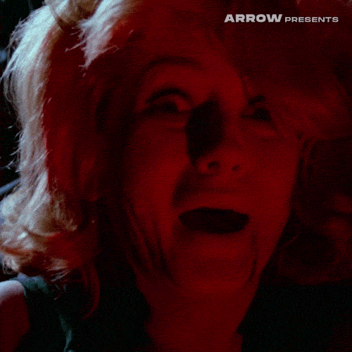 Shocked Uh Oh GIF by Arrow Video