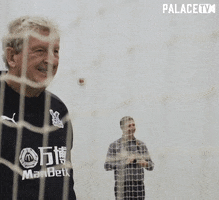 Crystal Palace Nod GIF by CPFC