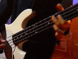Mtv GIF