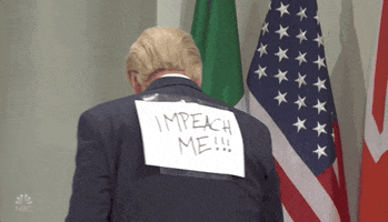 Donald Trump GIF by Saturday Night Live