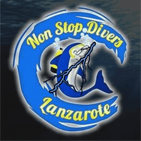 nonstopdivers GIF