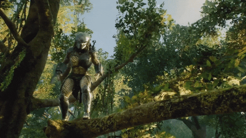 Predator Hunting Grounds GIFs - Get the best GIF on GIPHY
