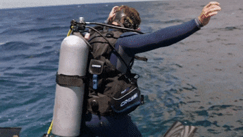 Discovery Dive GIF by Shark Week