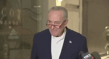 Election Results Midterms GIF by GIPHY News