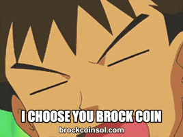 BrockOnSol pokemon lets go winner champion GIF