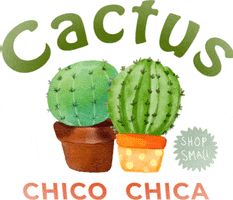 CactusChicoChica shoplocal handembroidery veteranowned cactuschicochica GIF