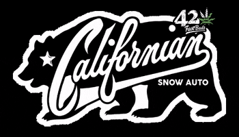 FastBuds california fastbuds fast buds california snow GIF