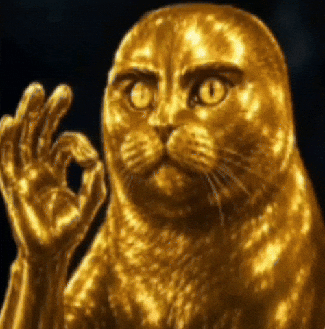 Folk Cat GIF
