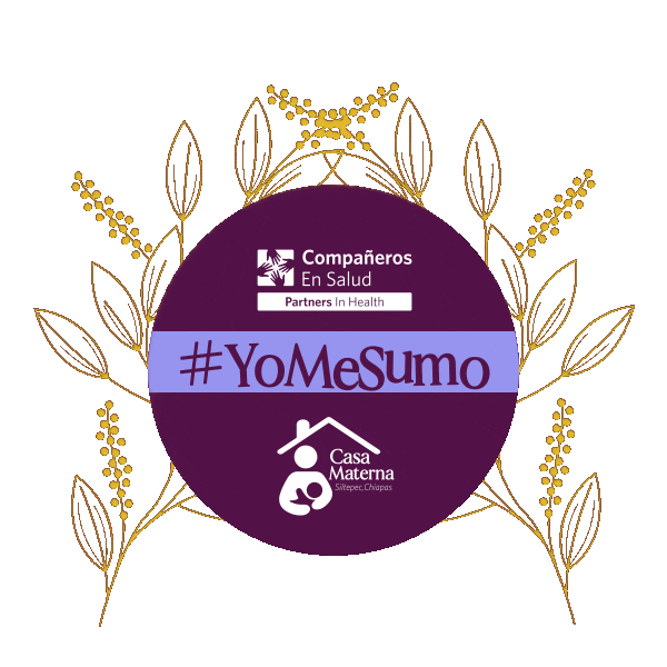 Compañeros En Salud Sticker