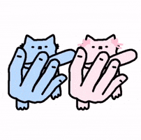 Cat Nub GIF