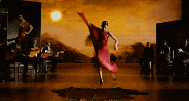 Dance Flamenco GIF by BMFI