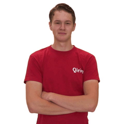 Qirion Sticker