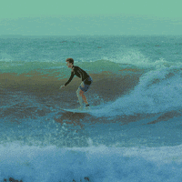 200.gif?cid=fc005b08027211ab9d32827df7da1c15c6f9ff28d3a3890a&rid=200.gif&ct=g