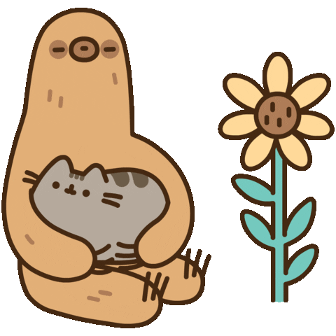 Sloth the sloth pusheen deals