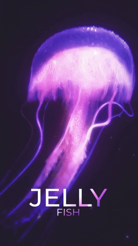 Purple GIF