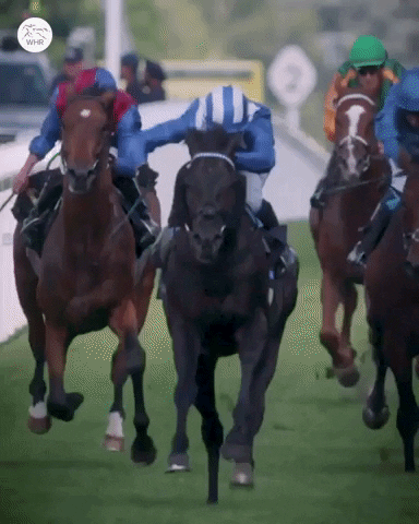 Horses Finish GIF by World Horse Racing