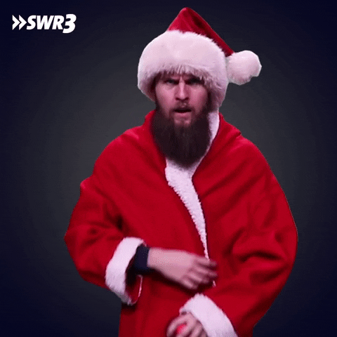 Merry Christmas Wtf GIF by SWR3