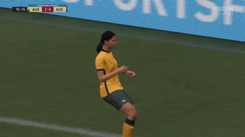 Soccer Celebrates GIF by Football Australia