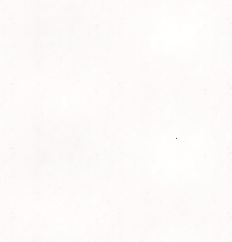 Middle Finger GIF