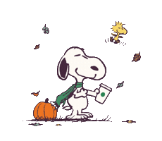 The Great Pumpkin Fall Sticker by Starbucks