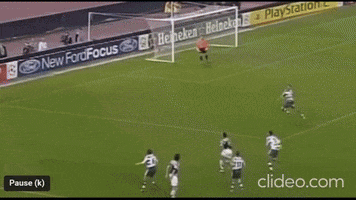 Francesco Camarda GIF