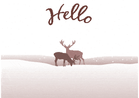 Snow Hello Sticker by BAR àPART Wijnhandel