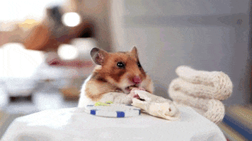 burrito GIF by Digg
