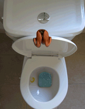 toilet diving GIF