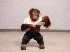 monkey stripping GIF