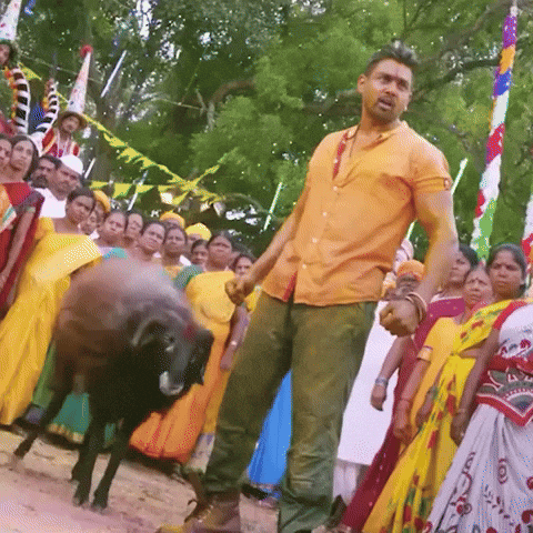 Dhruvasarja GIF