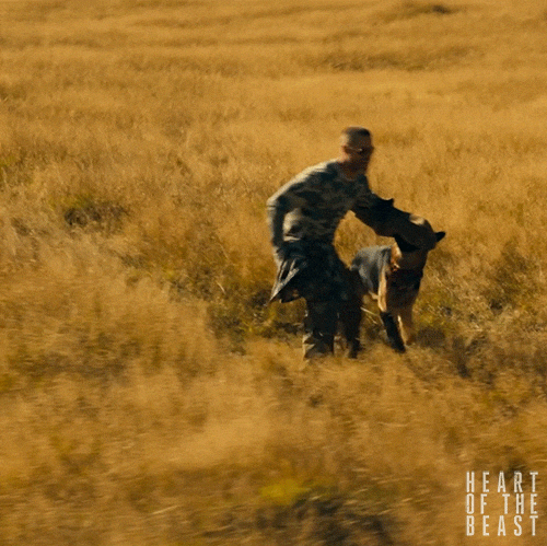 Heart of the Beast GIF