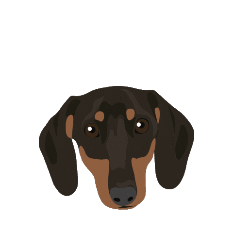 Sausage Dog Sticker by Markus Lupfer