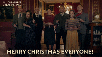 Celebrate Merry Christmas GIF by All Creatures Great And Small