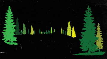 Mountain Pine GIF